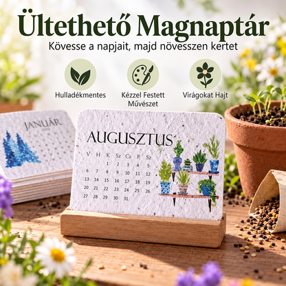 🌱 Környezetbarát, elültethető „Időtlen” Magpapír Naptár 2027